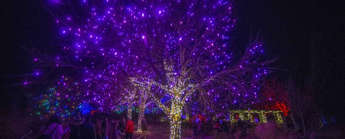 MileHighHolidays_BlossomsOfLight_2017_095_ca57b711-452a-4f95-b59f-d622cee911fc.jpg